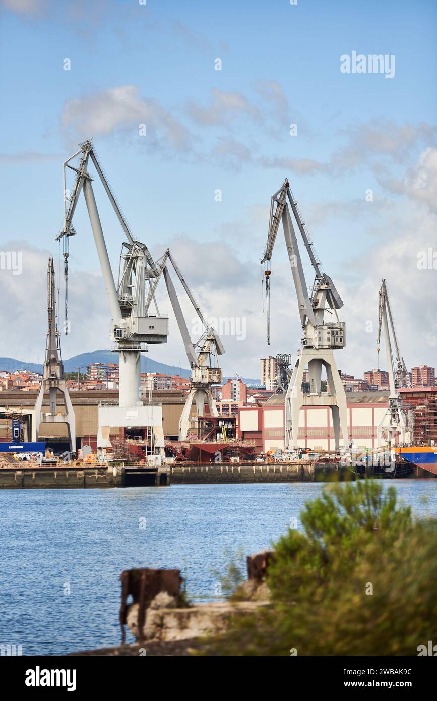 Nervion River and Crane in Shipyard, Sestao, Biscaglia, Paesi Baschi, Spagna, Europa Foto Stock