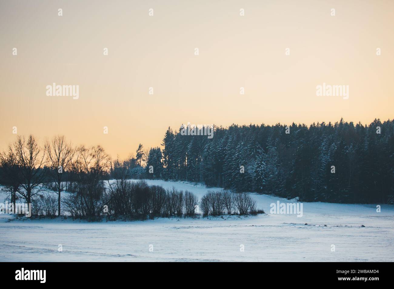 Tipico paesaggio invernale con prati e boschi nel Waldviertel, Austria, Europa Foto Stock