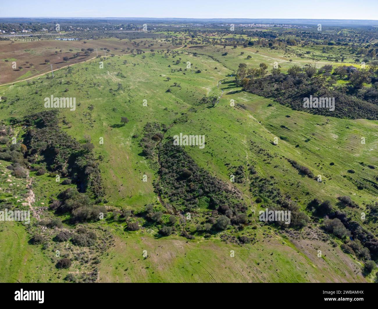 Veduta aerea dei pascoli della provincia di Huelva, nel villaggio di Beas, con querce da sughero e prati verdi Foto Stock