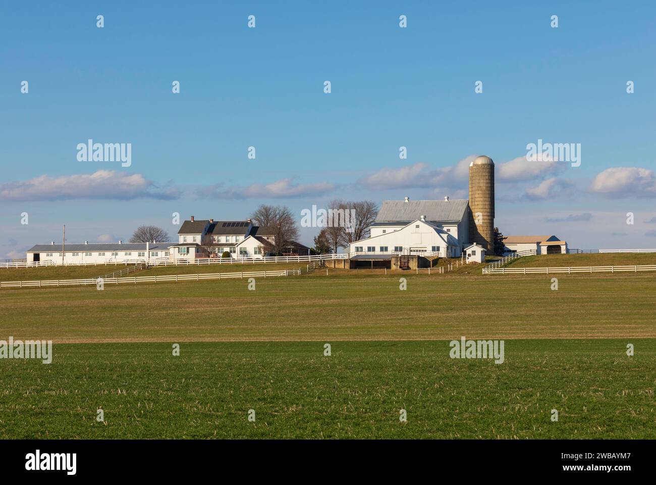 Amish Farm, contea di Lancaster, Pennsylvania Foto Stock