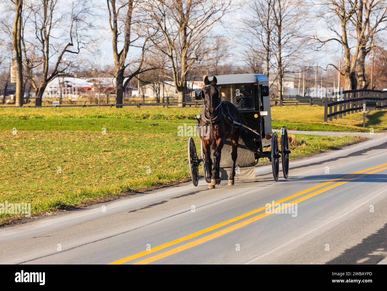 Calesse Amish sulla strada nella contea di Lancaster Foto Stock