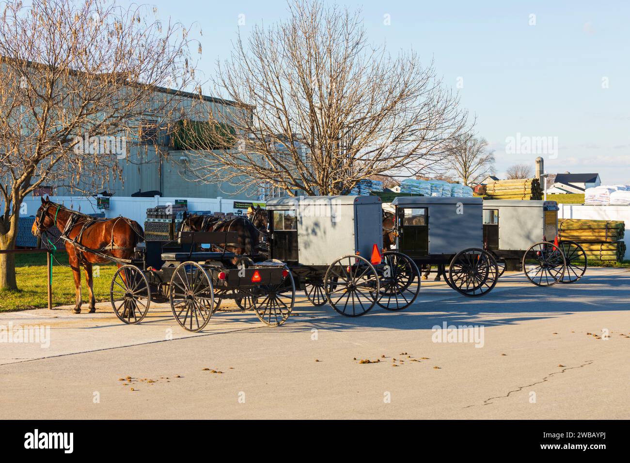 Amish Buggies Lancaster County Foto Stock