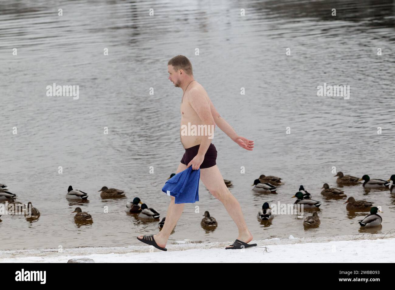 Non esclusiva: KIEV, UCRAINA - 6 GENNAIO 2024 - Un uomo con un asciugamano cammina lungo il lungomare passando davanti ai mallard di Hidropark sull'Epifania, Kiev, capitale Foto Stock