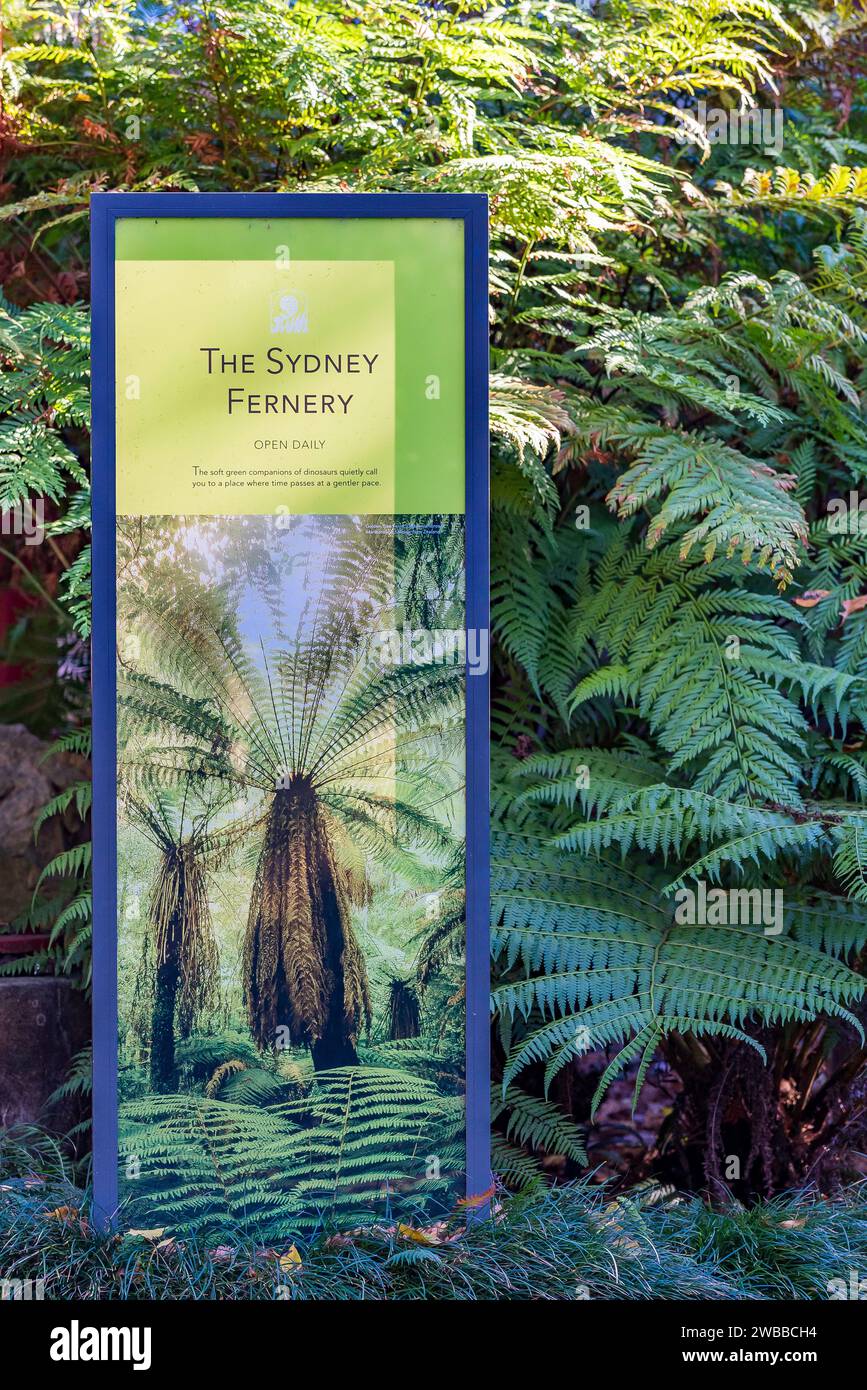 Il Sydney Fernery nei Royal Botanic Gardens, Sydney, Australia, ospita oltre 350 specie ed è costruito utilizzando blocchi storici di arenaria tagliati dai detenuti Foto Stock