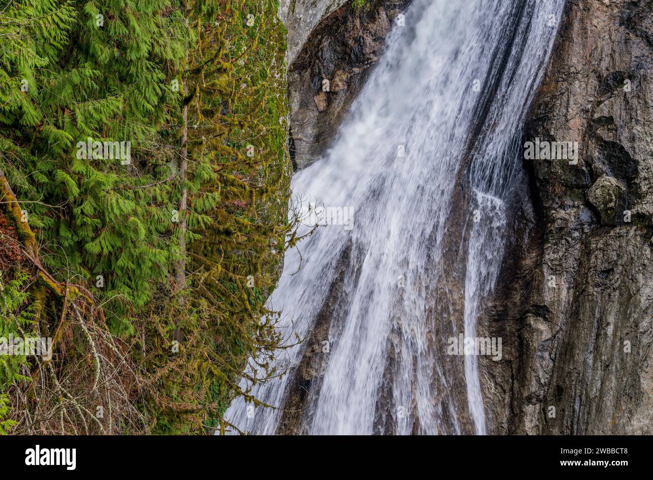 Vista della cascata delle Twin Falls nell'Olallie State Park, la valle del fiume Snoqualmie vicino a North Bend nello Stato di Washington, Stati Uniti. Foto Stock