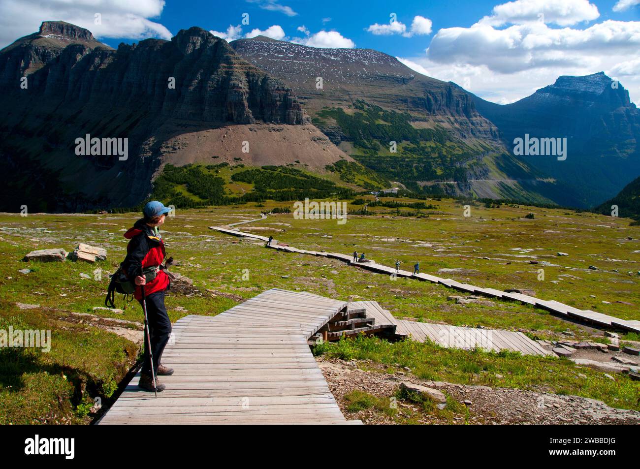 Hidden Lake Trail, Glacier National Park, Montana Foto Stock