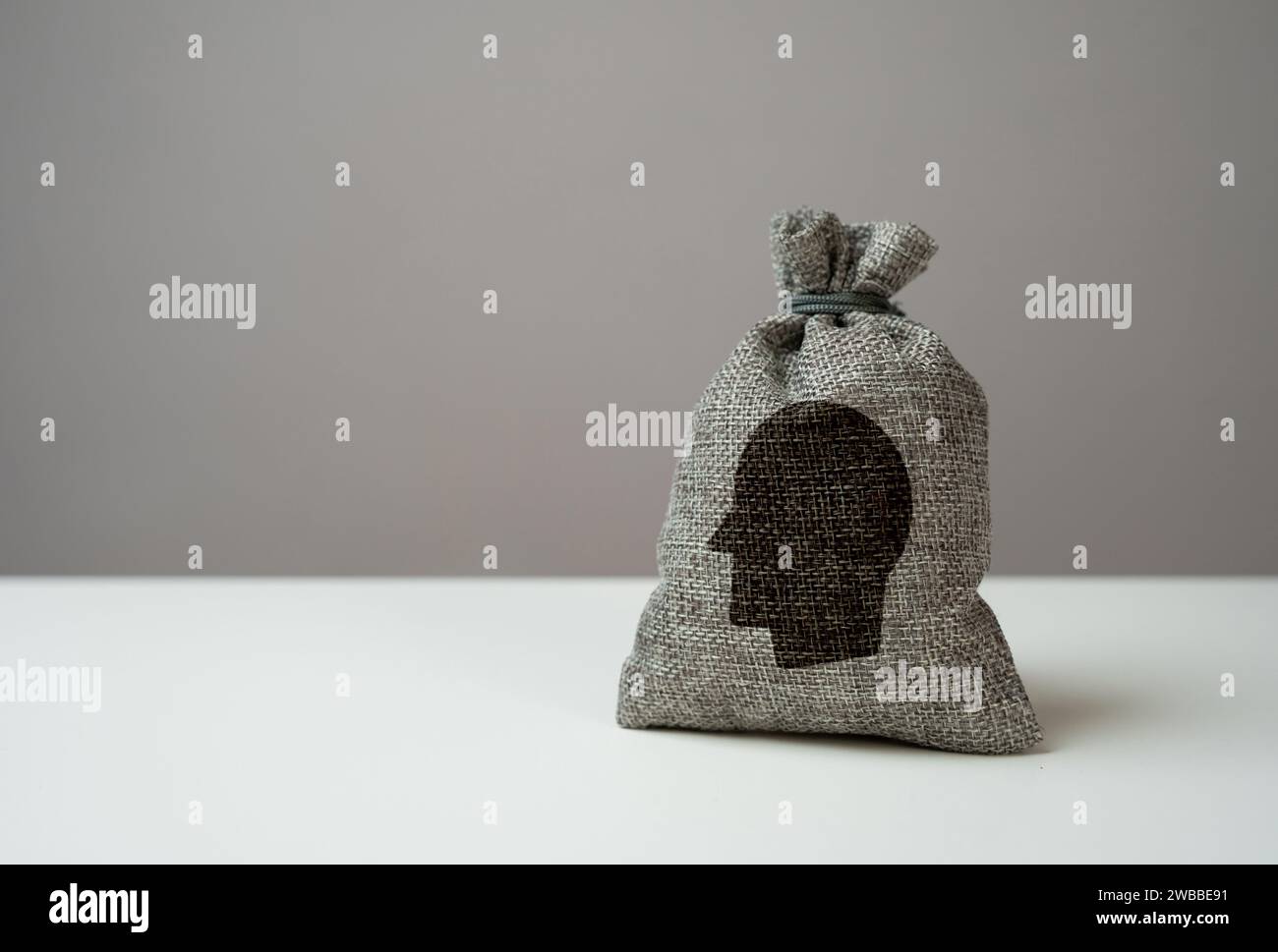 Concetto di borsa contenente personalità, abilità, qualità personali e intelligenza. Crea la tua mentalità. Istruzione, ispirazione. Costruisci la mente. Pro Foto Stock