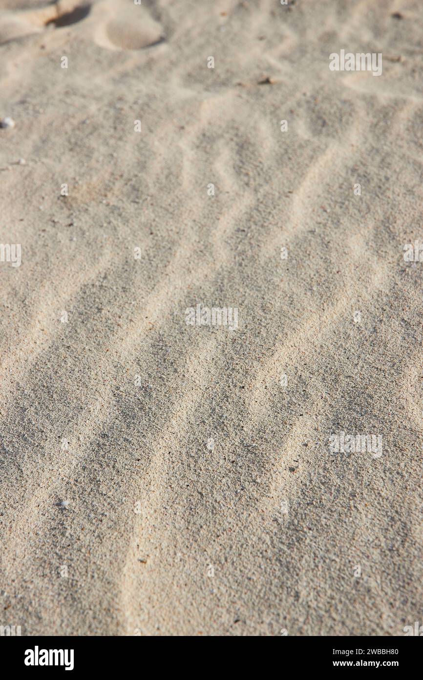 Primo piano di Sandy Beach texture - Bahamas Paradise Island Foto Stock