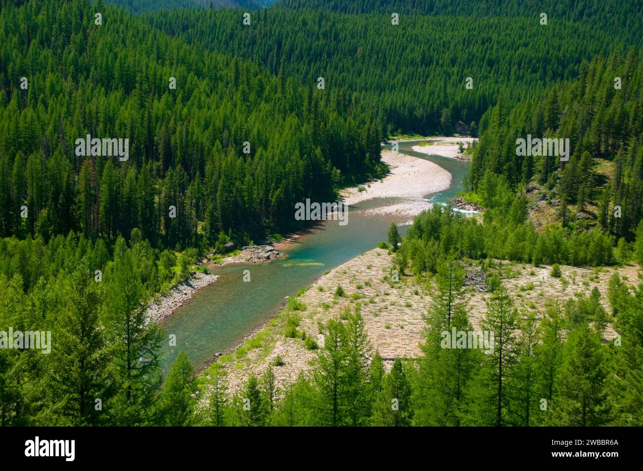 Forche centrale selvaggio Flathead e Scenic River, grande orso deserto di Flathead National Forest, Montana Foto Stock