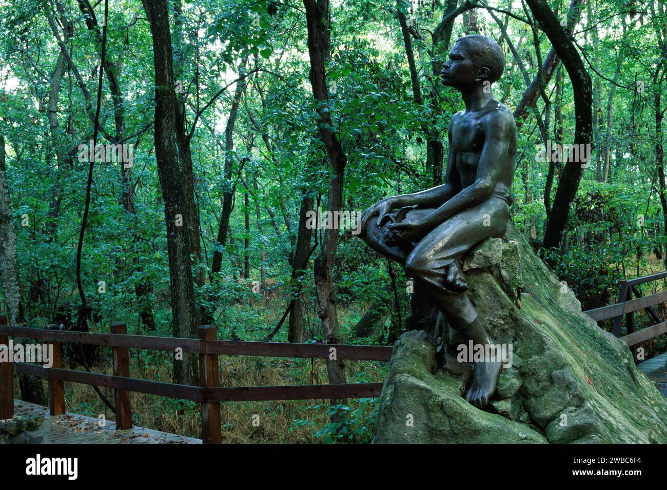 Statua di Boy Carver, George Washington Carver National Monument, Missouri Foto Stock