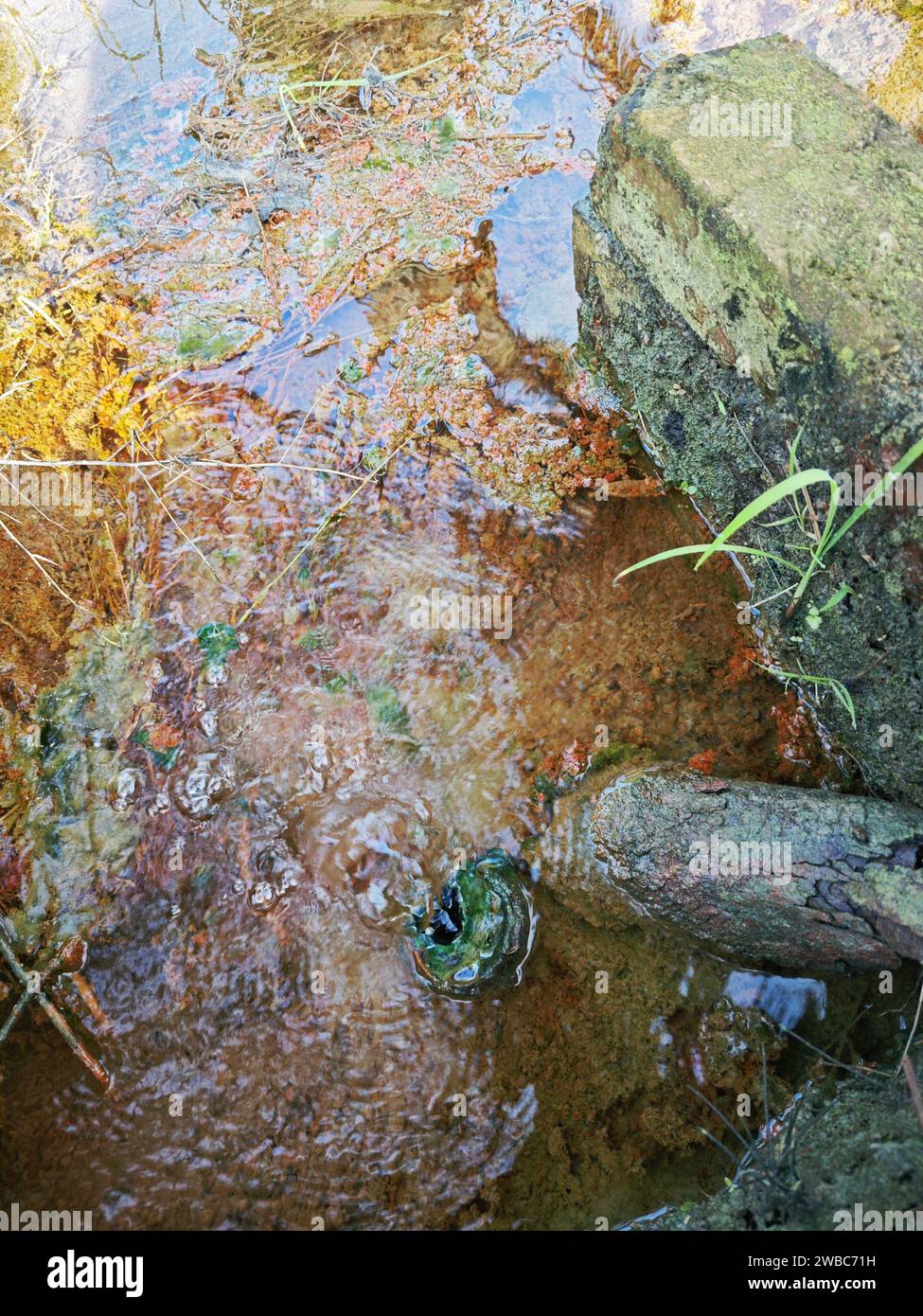 le perdite d'acqua dal terreno sono diventate torbide quando mescolate con il drenaggio. Foto Stock