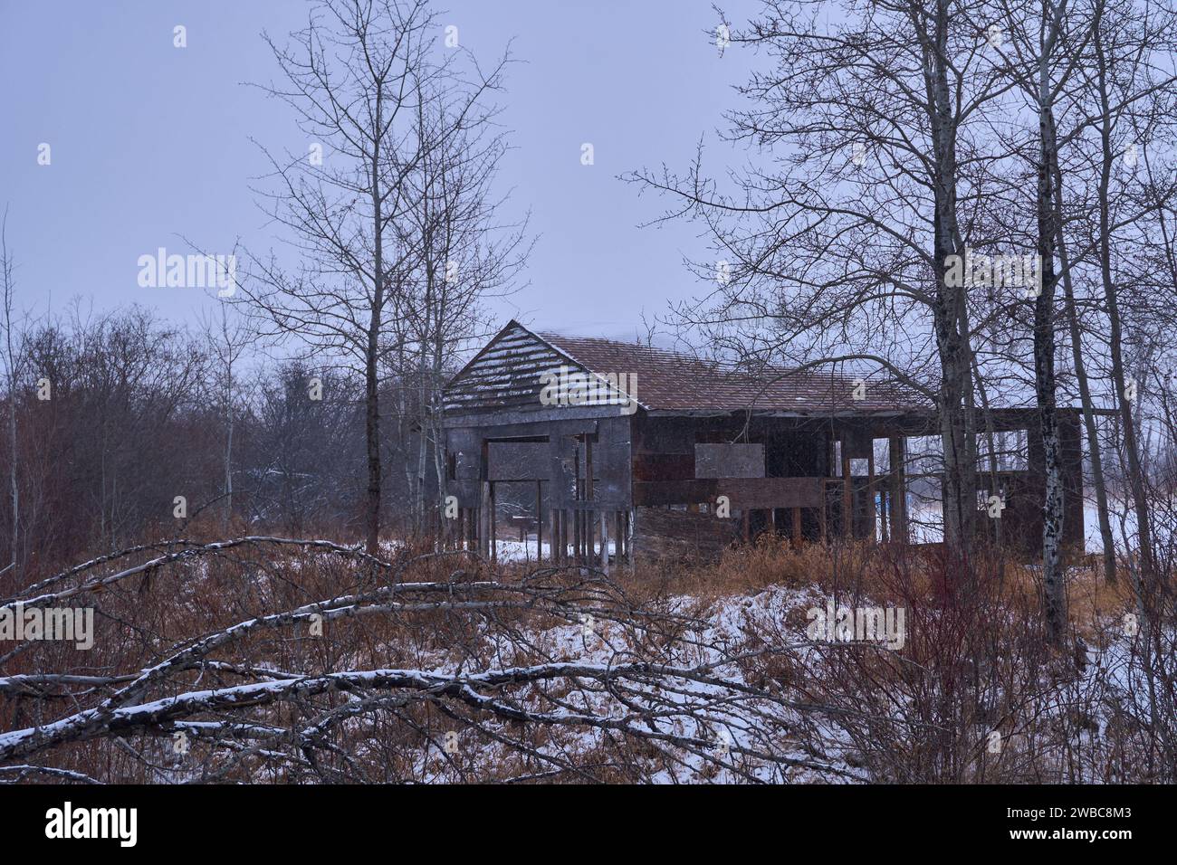 Passeggiata nel paese delle meraviglie d'inverno: Un sentiero innevato Foto Stock