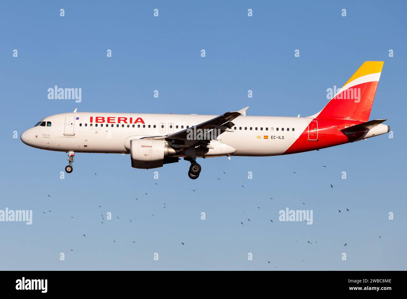 Barcellona, Spagna. 23 dicembre 2023. Un Iberia Airbus 319 atterra all'aeroporto El Prat di Barcellona. I Birdstrike sono abbastanza comuni. Secondo l'ICAO (International Civil Aviation Organization), uno sciopero degli uccelli è "una collisione tra un uccello e un aereo in volo, in decollo o in atterraggio" (immagine di credito: © Fabrizio Gandolfo/SOPA Images via ZUMA Press Wire) SOLO PER USO EDITORIALE! Non per USO commerciale! Foto Stock