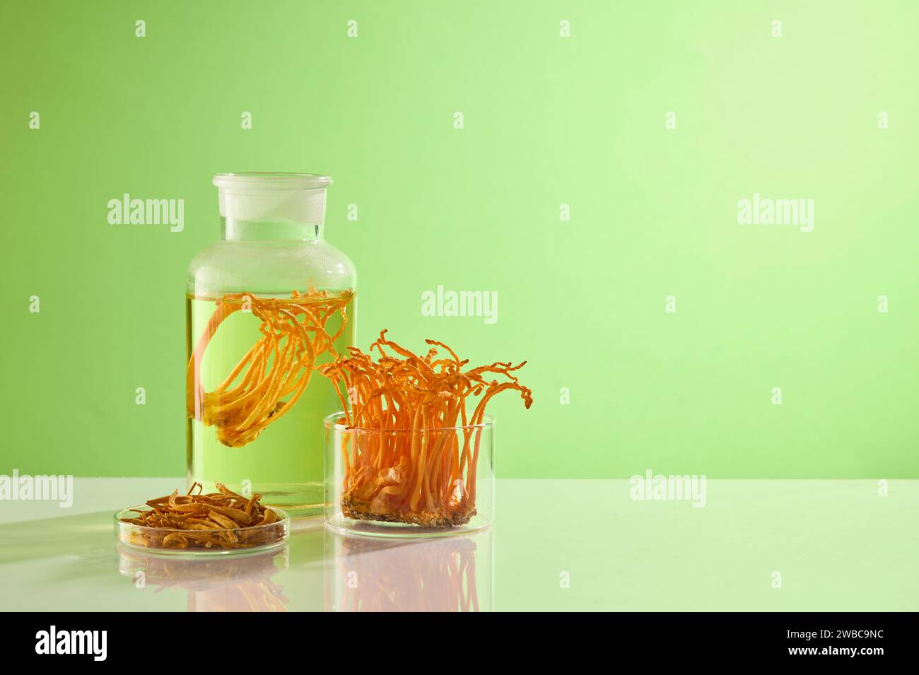 Contesto per la presentazione di prodotti cosmetici con ingrediente cordycep. Alcuni oggetti in vetro contenenti cordyceps e liquido decorati su dorso verde Foto Stock