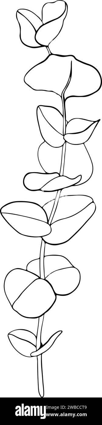 Elemento artistico della linea botanica. Grafica con inchiostro di eucalipto. Illustrazione dipinta a mano per il design di biglietti di auguri, decorazioni per le feste, matrimoni, confezione Illustrazione Vettoriale
