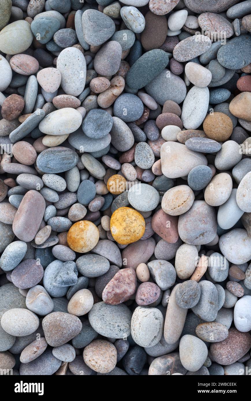 Pebbles on the Beach. Morayshire, Scozia Foto Stock