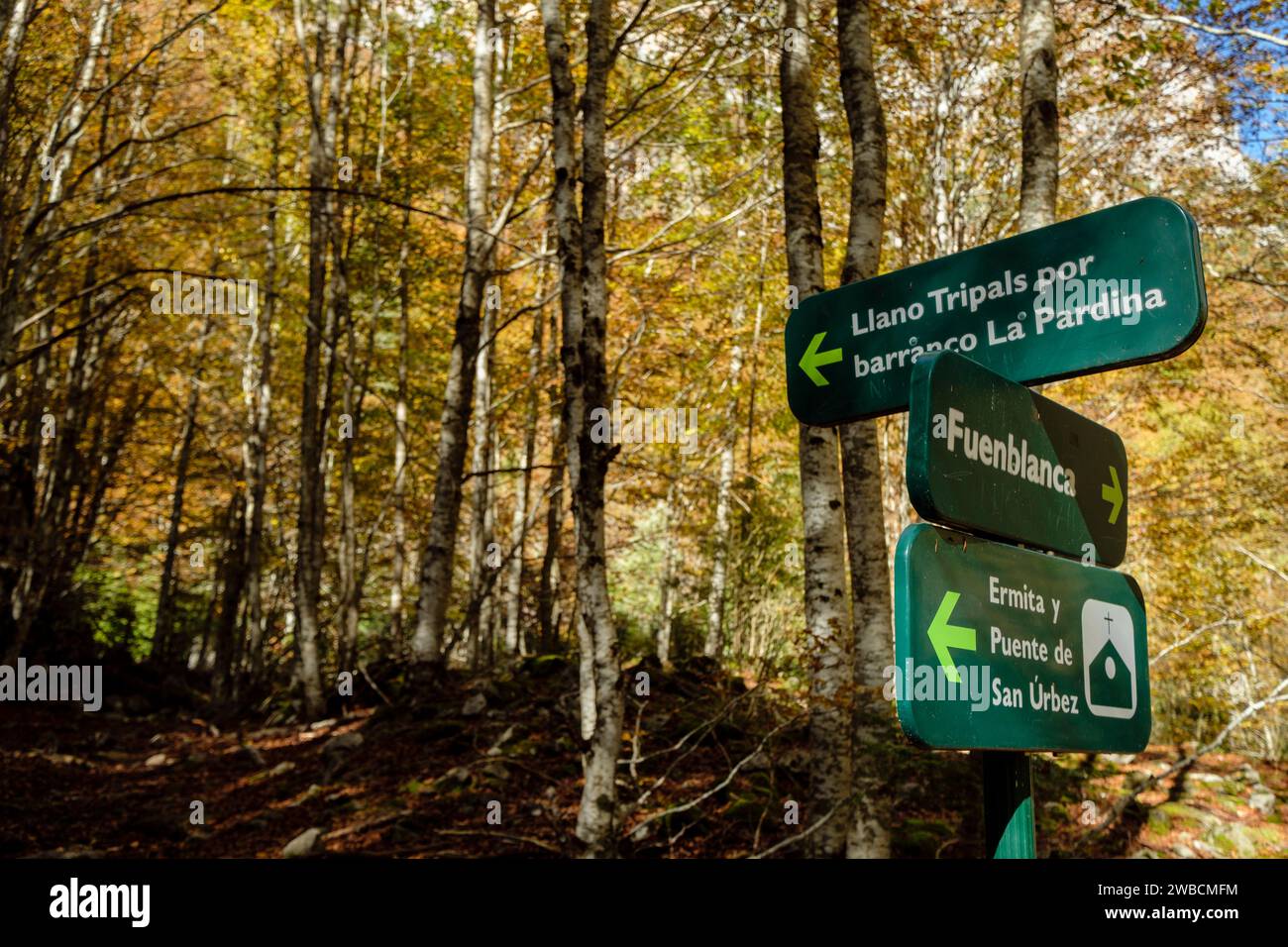 La Ripareta, Cañon de Añisclo, parque nacional de Ordesa y Monte Perdido, comarca del Sobrarbe, Huesca, Aragón, cordillera de los Pirineos, Spagna Foto Stock