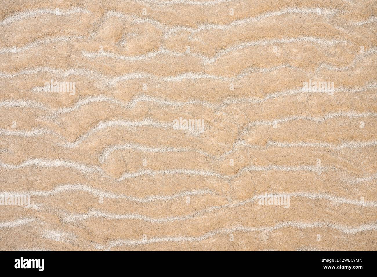 Sabbia fine dorata con deriva di sabbia. Sfondo da materiali naturali. Foto Stock