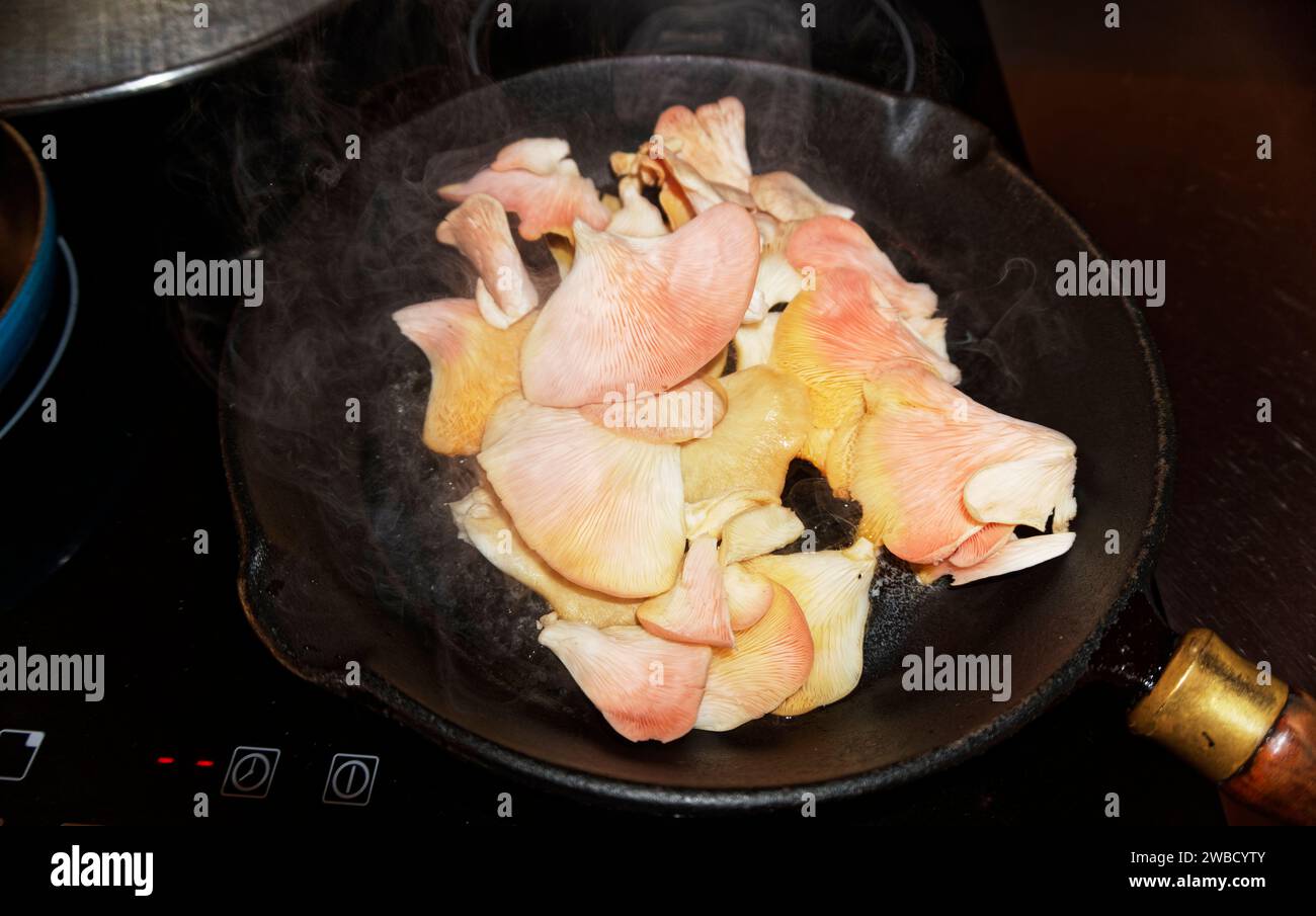 I funghi di ostrica rosa si riempiono di burro in una padella nera in ghisa - deliziosa per colazione Foto Stock