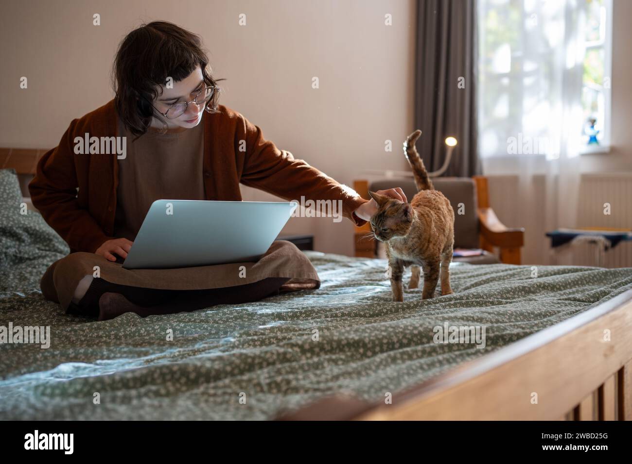 Adolescente seduto sul letto, accarezzato, gatto accarezzato che distoglie l'attenzione delle ragazze dal lavoro freelance Foto Stock
