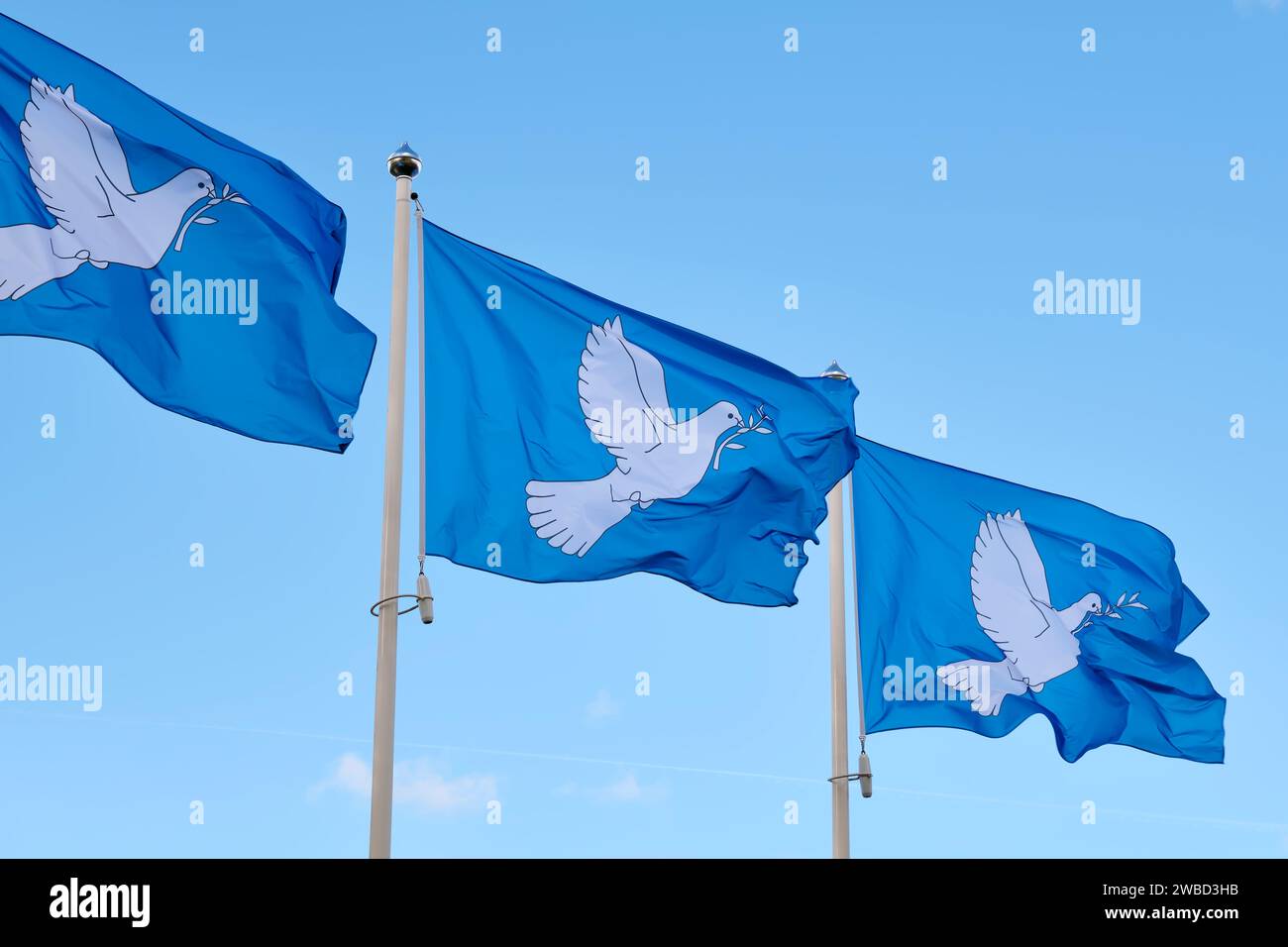 Poster Creativo Della Giornata Mondiale Della Pace Con Line Art Colomba Uccello E Vettore Di Oliva 66414204 - Foto 5