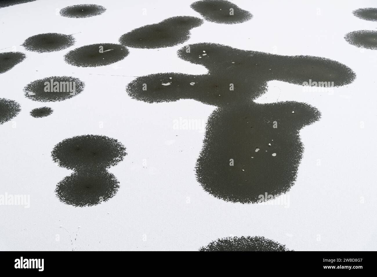 Fiume ghiacciato a Danzica, Polonia © Wojciech Strozyk / Alamy Stock Photo Foto Stock