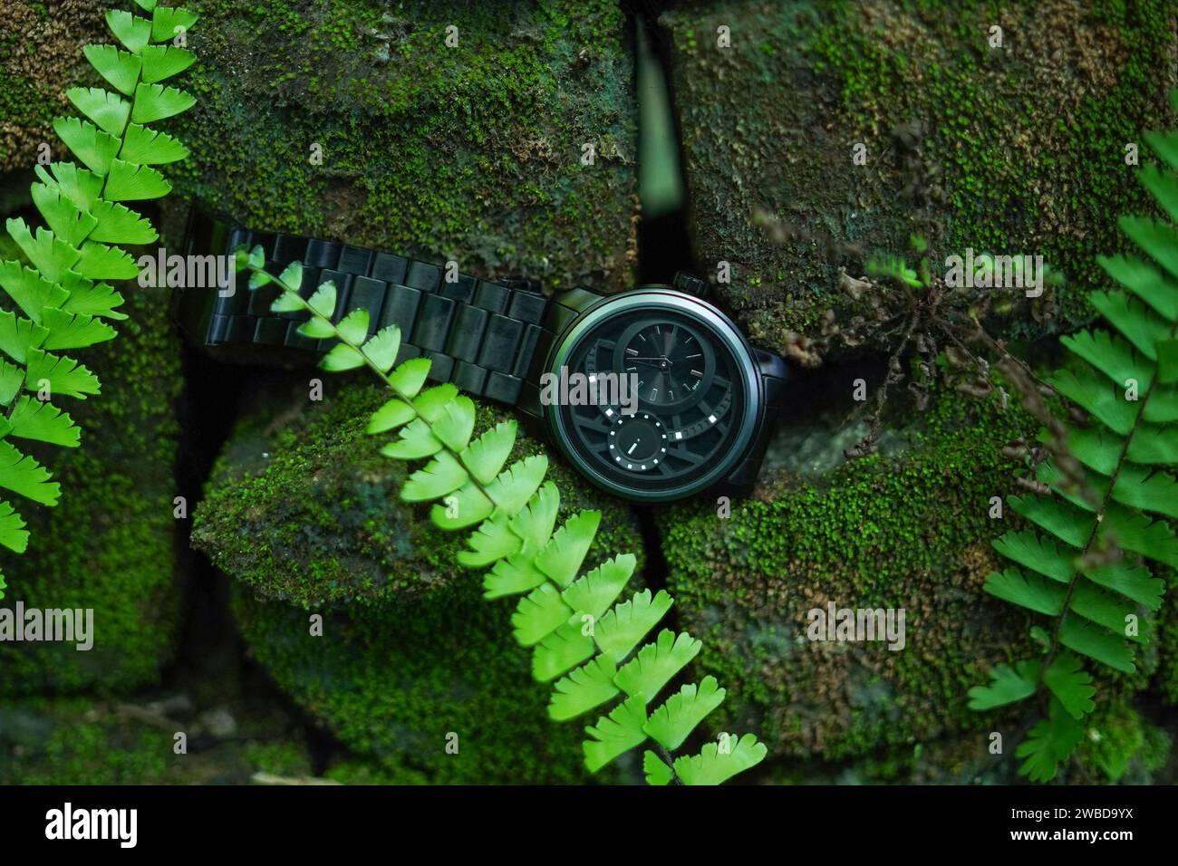 Orologio di colore nero sulla carta da parati verde delle foglie dietro i germogli di erba verde su sfondo verdastro Foto Stock