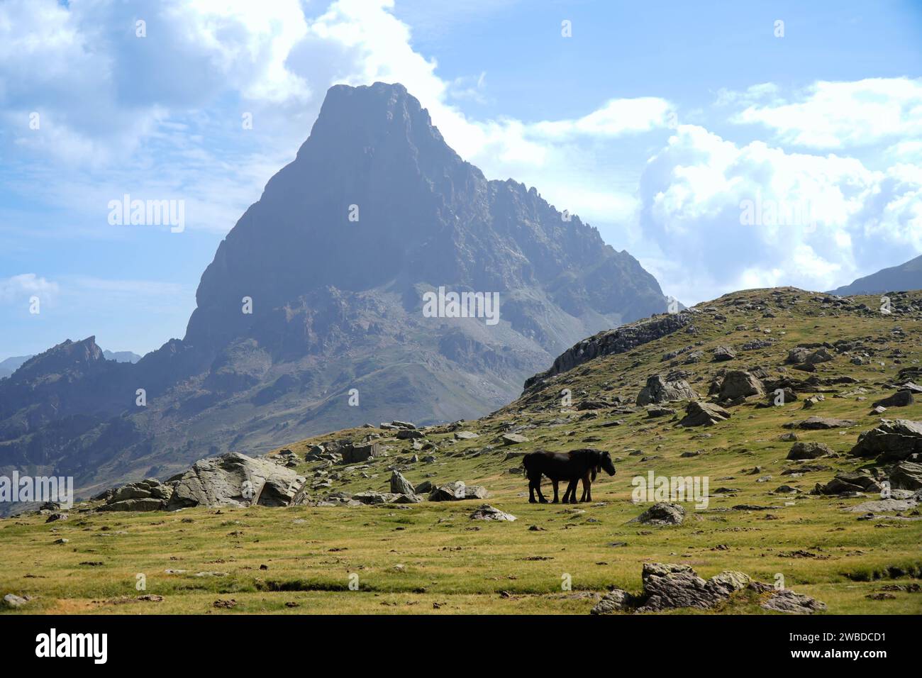 sfondo di montagna alpina con cavalli nei pirenei Foto Stock