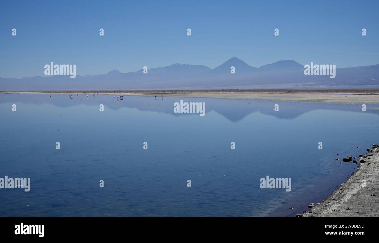 Montagne che si riflettono nella laguna piena di fenicotteri nella riserva nazionale di Los Flamencos, Cile. Foto Stock
