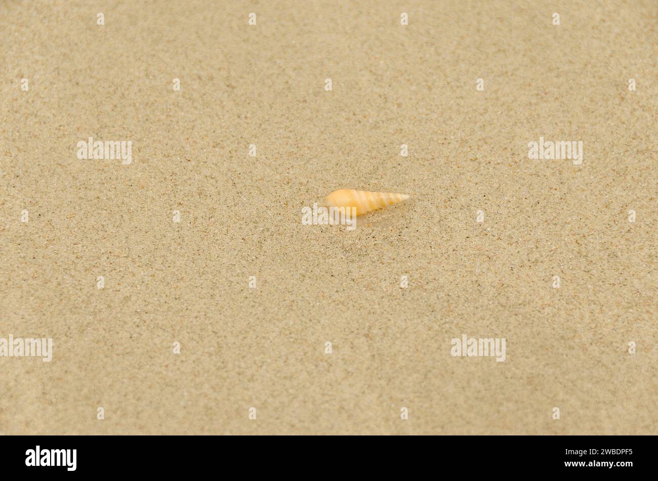 sognare in oman Foto Stock