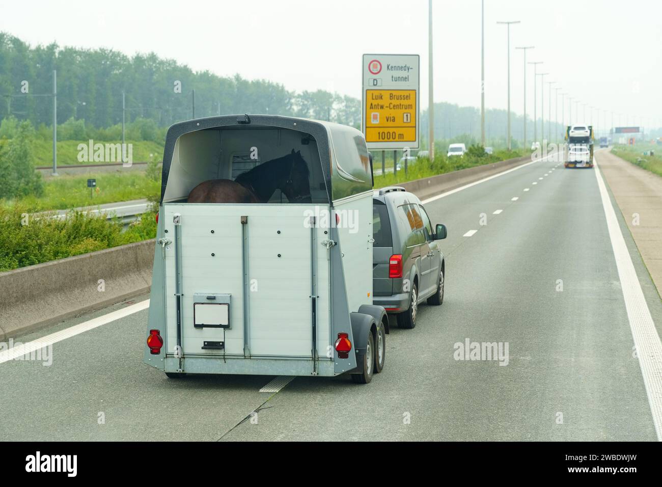 Un'auto con un rimorchio per il trasporto di cavalli sta guidando lungo l'autostrada. Foto Stock