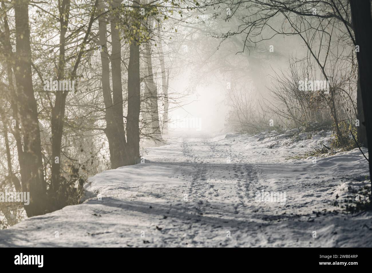 Una bellissima via wlka o una pista da corsa per le persone vicino a un fiume nella mia città natale, Gornja Radgona, in Slovenia. La foto è stata scattata con un freddo dec Foto Stock