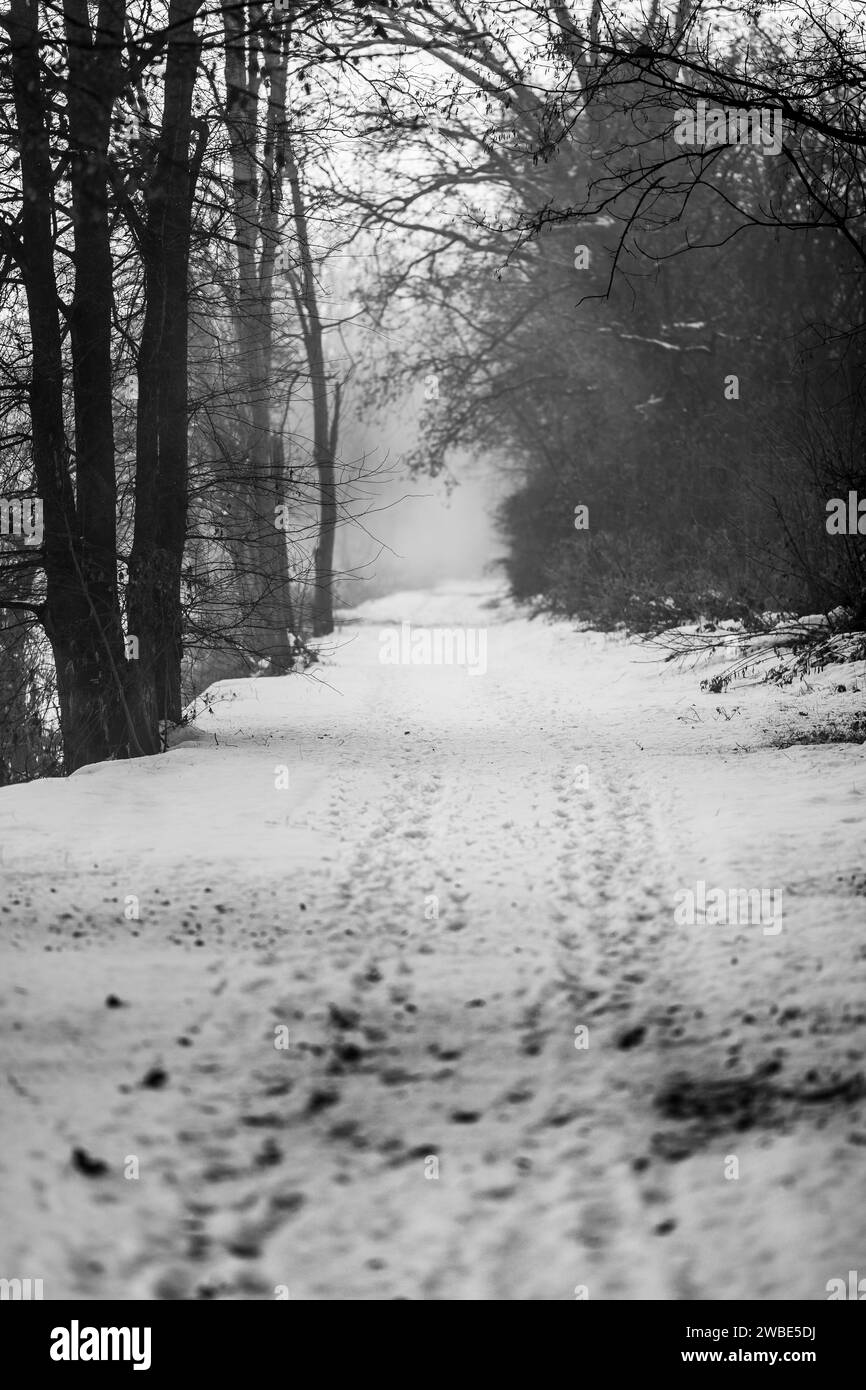 Una bellissima via wlka o una pista da corsa per le persone vicino a un fiume nella mia città natale, Gornja Radgona, in Slovenia. La foto è stata scattata con un freddo dec Foto Stock
