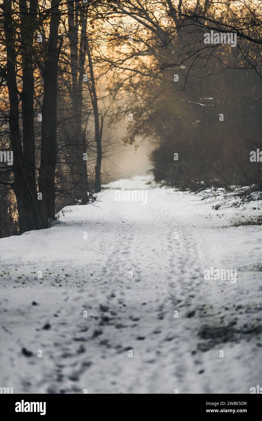 Una bellissima via wlka o una pista da corsa per le persone vicino a un fiume nella mia città natale, Gornja Radgona, in Slovenia. La foto è stata scattata con un freddo dec Foto Stock