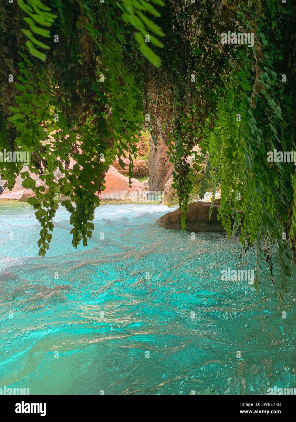 Una nuotata nella grotta di Havasu Creek, Grand Canyon, Arizona Foto Stock