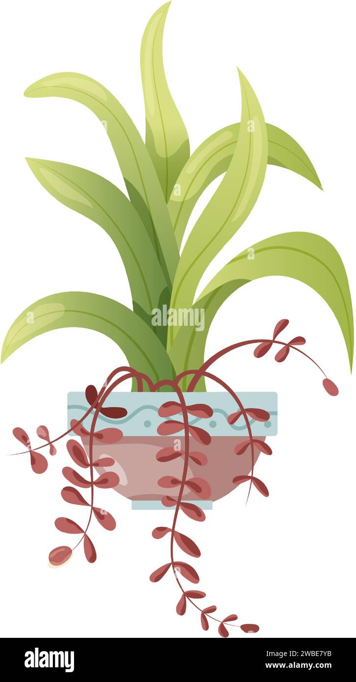 Piante da casa che crescono in vasi. Bellissime decorazioni per la casa, piante isolate su sfondo bianco. Illustrazione piatta del cartone animato. Illustrazione Vettoriale