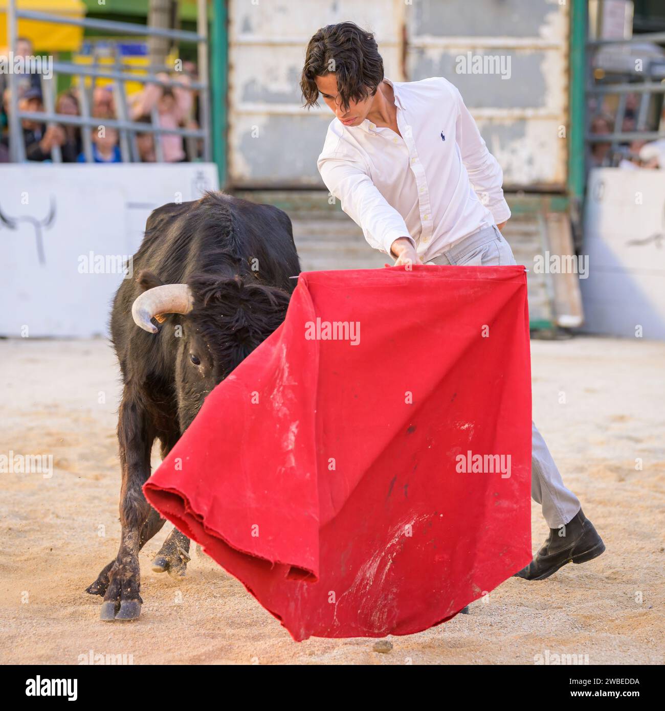 Arles, Francia - 11 marzo 2023: Lotta al toro al Capea du Forum, un tradizionale evento gratuito organizzato dalla Scuola Taurine d'Arles Foto Stock
