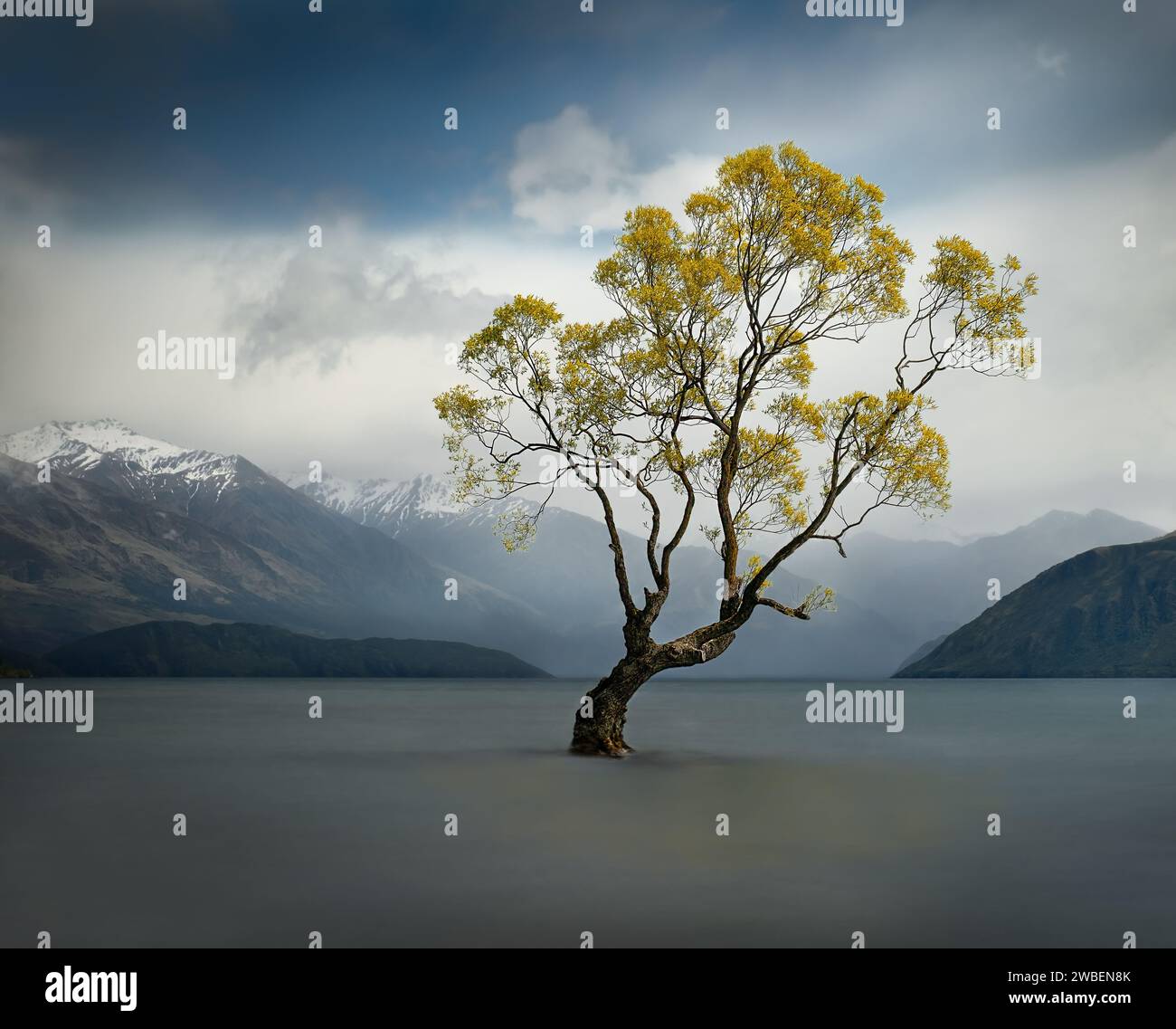 Quel Wanaka Tree. Esposizione lunga. Lone Tree in foglie colorate nel lago, adagiato su uno sfondo di montagne innevate e lontane docce a pioggia Foto Stock