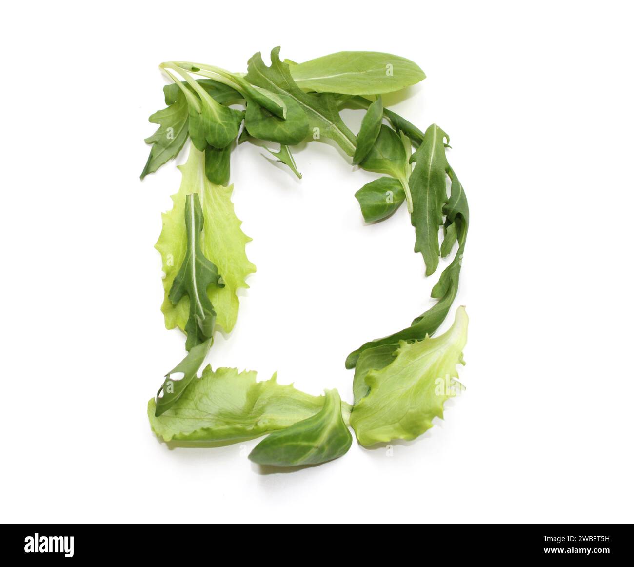 Lettera D di insalata verde, alfabetico ABC lettere maiuscole per testo, enciclopedia, libro di cucina, libri di cucina, parola vegan gennaio, lettere isolate Foto Stock