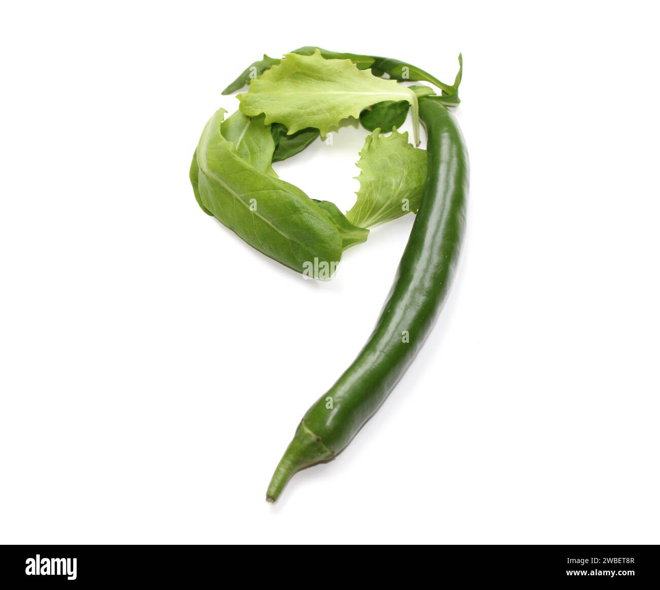 numero 9, nove dal peperoncino verde, insalata per enciclopedie, libro di cucina, libri di cucina, numeri isolati per l'invito di compleanno, 9° anniversario Foto Stock