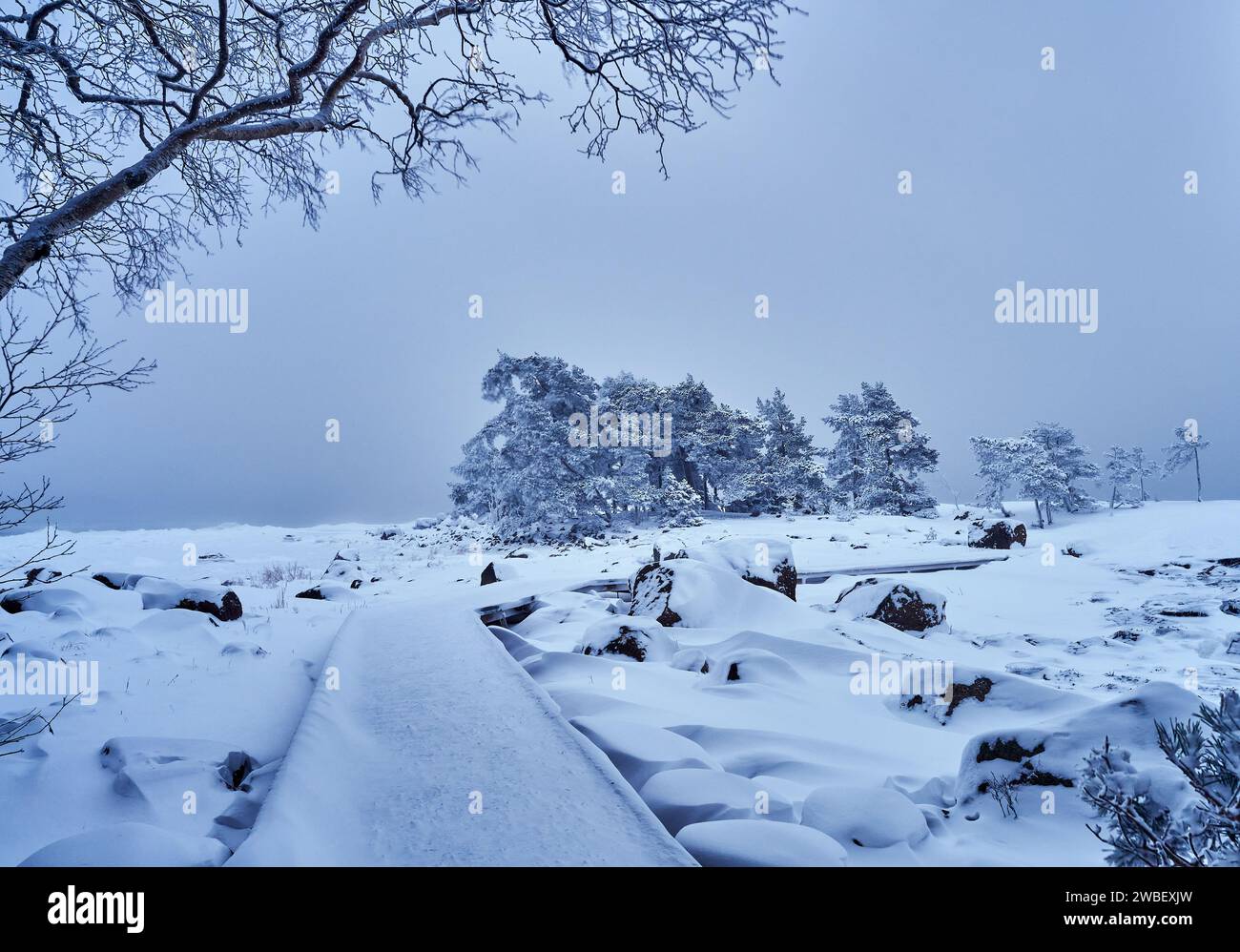 Una tempesta invernale panoramica nell'arcipelago finlandese a gennaio Foto Stock