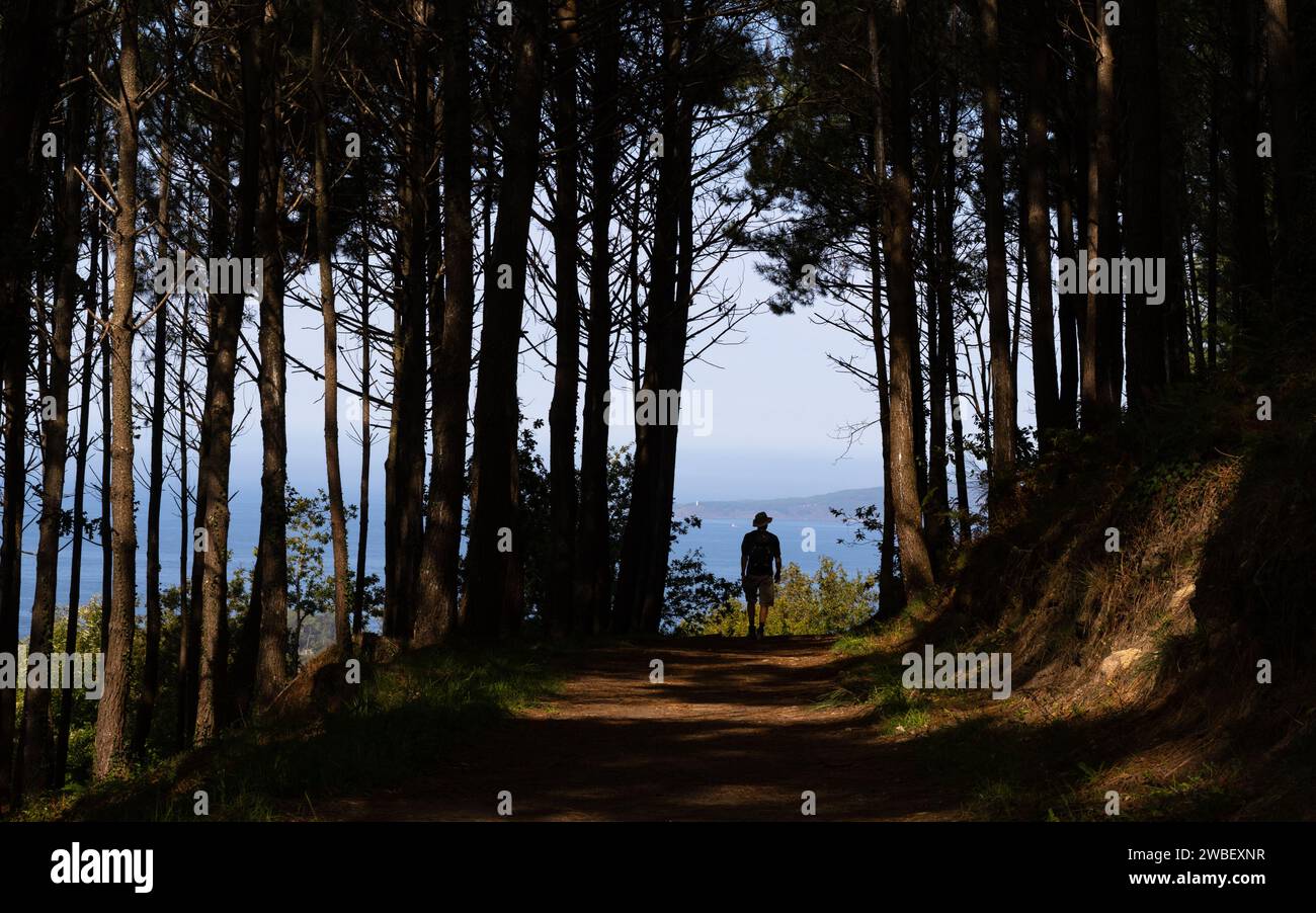 Cammino Portugues Coastal Route (camino portoghese) pellegrino che cammina attraverso gli alberi lungo il percorso da Vigo a Santiago de Compostela, Spagna Foto Stock