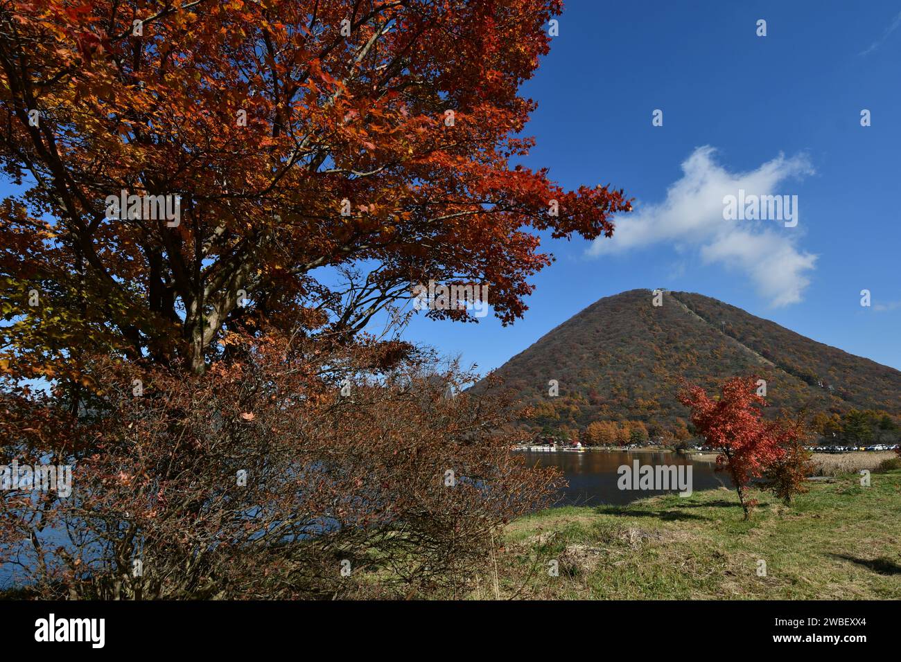 Un idilliaco paesaggio di campagna caratterizzato da un maestoso sfondo montano circondato da verdi pascoli di lussureggiante prato verde Foto Stock