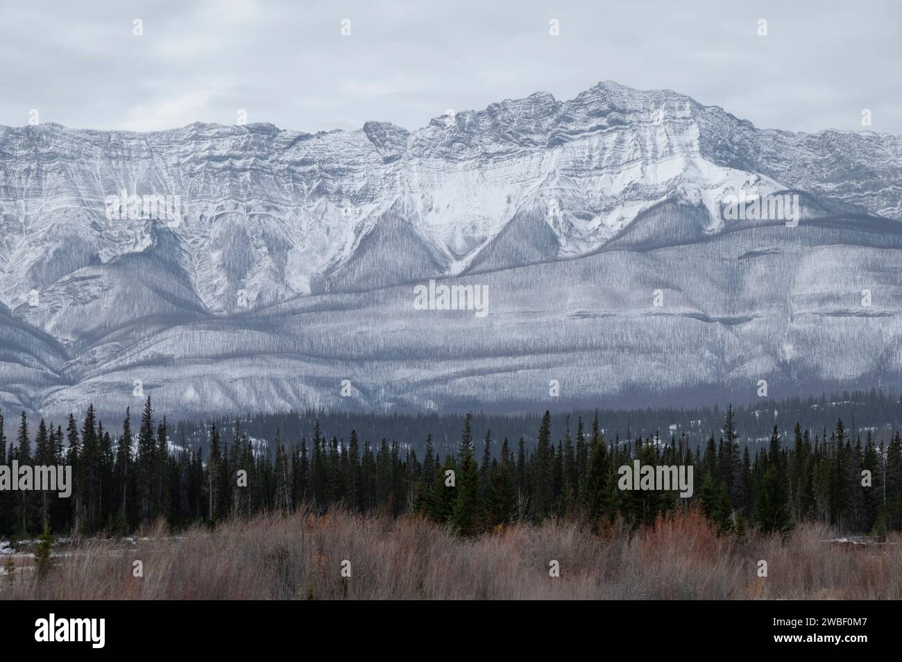 Winter Mountain Landscape, Jasper National Park, Alberta, Canada Foto Stock