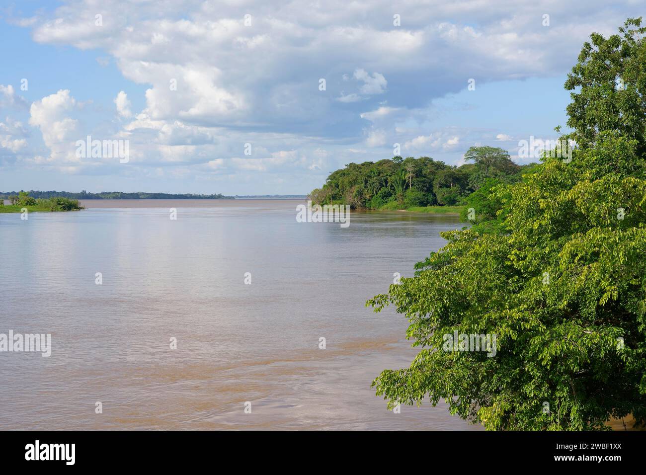 Il fiume Madeira, un affluente amazzonico, stato di Amazonas, Brasile Foto Stock