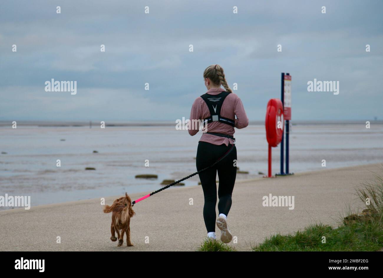 Una jogger con il suo cane domestico, sul lungomare, Lytham St Annes, Lancashire, Regno Unito, Europa mercoledì 10 gennaio 2024 Foto Stock