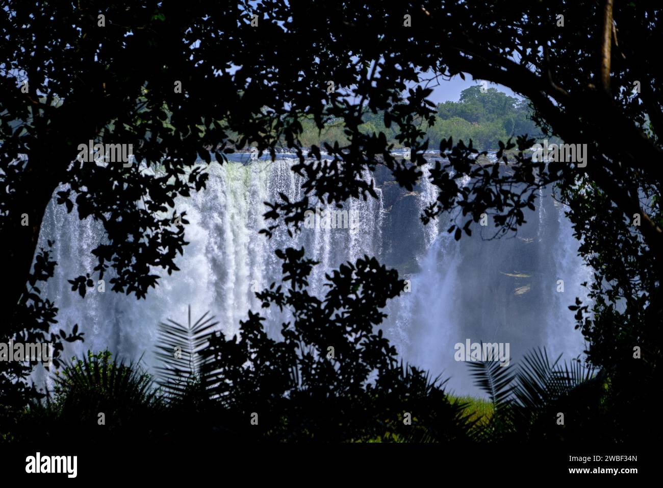 Zimbabwe, provincia settentrionale del Matabeleland, fiume Zambesi alle Cascate Vittoria, patrimonio dell'umanità dell'UNESCO Foto Stock