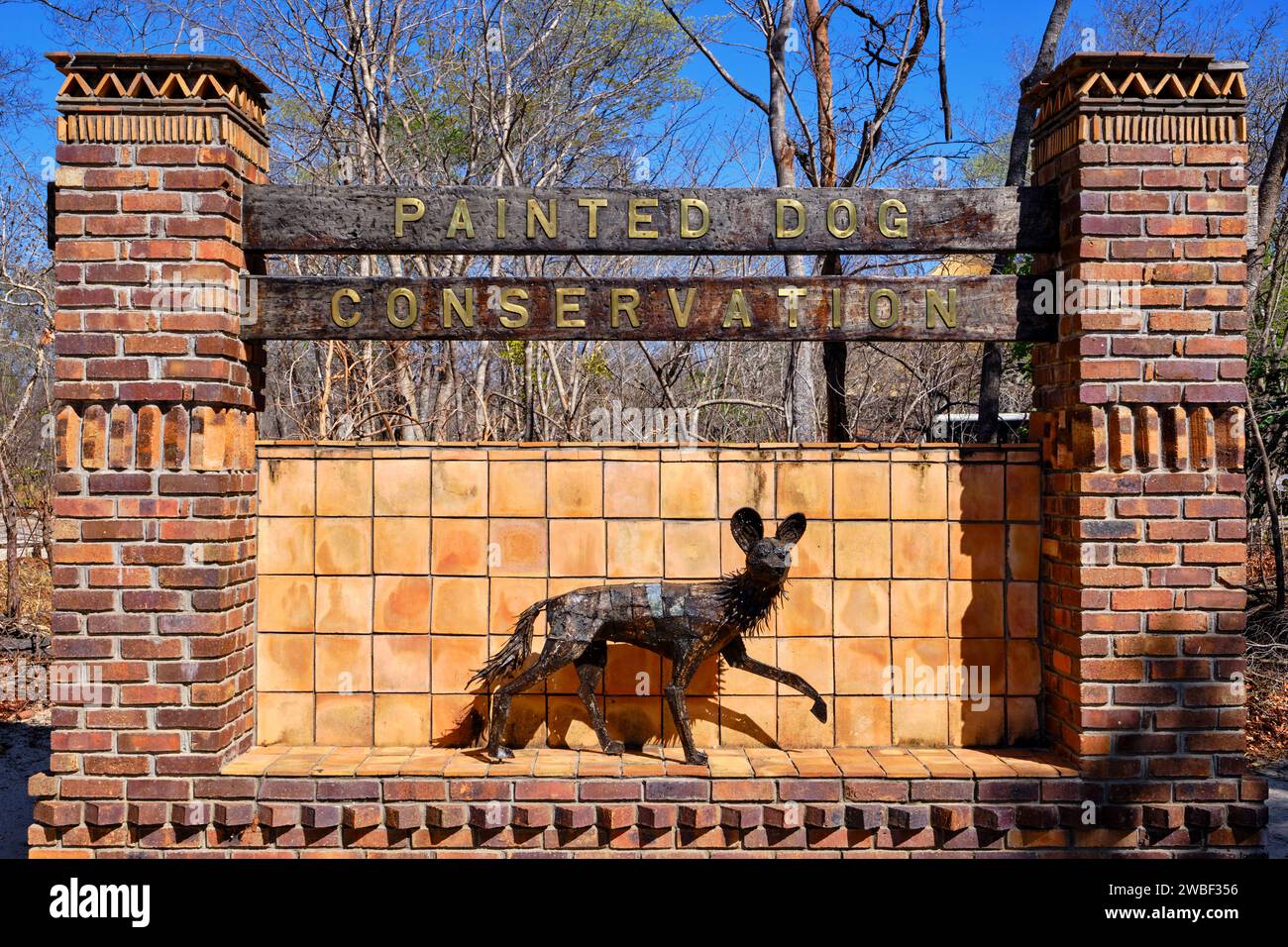 Zimbabwe, Matabeleland North, provincia, parco nazionale di Hwange, centro di conservazione dei cani dipinti Foto Stock