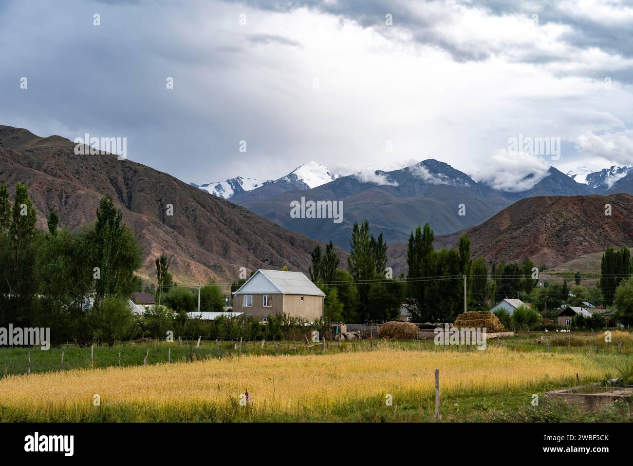 Paesaggio rurale con un villaggio e campi dorati di fronte a montagne nuvolose, in Kirghizistan Foto Stock