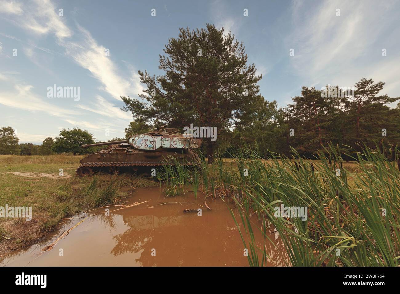 Una vasca abbandonata si trova in mezzo alla natura, silenziosamente riflessa nell'acqua di uno stagno, M41 Bulldog, Lost Place, Brander Wald, Aquisgrana, nord Foto Stock